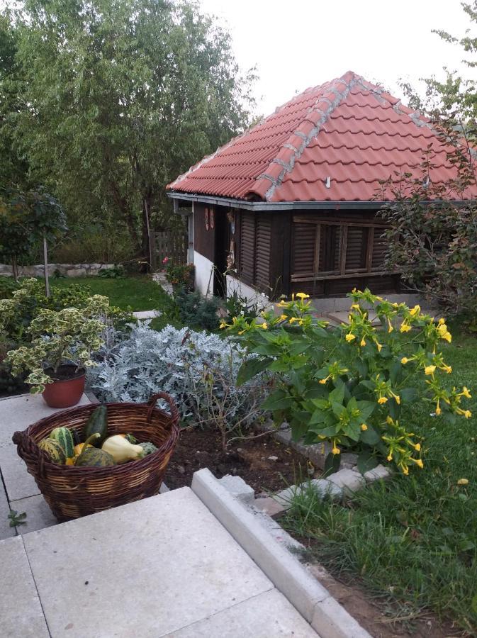Apartman Civovic Rudnik Exterior photo